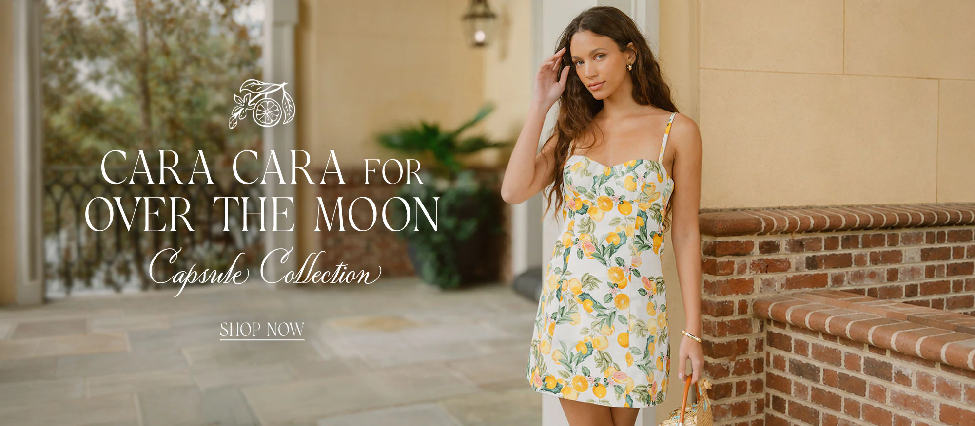 Curation for Your Forever After